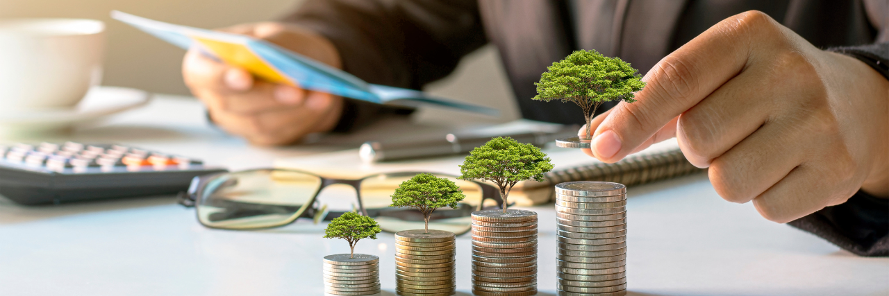 Coins stacked with trees growing on top, showing financial growth.